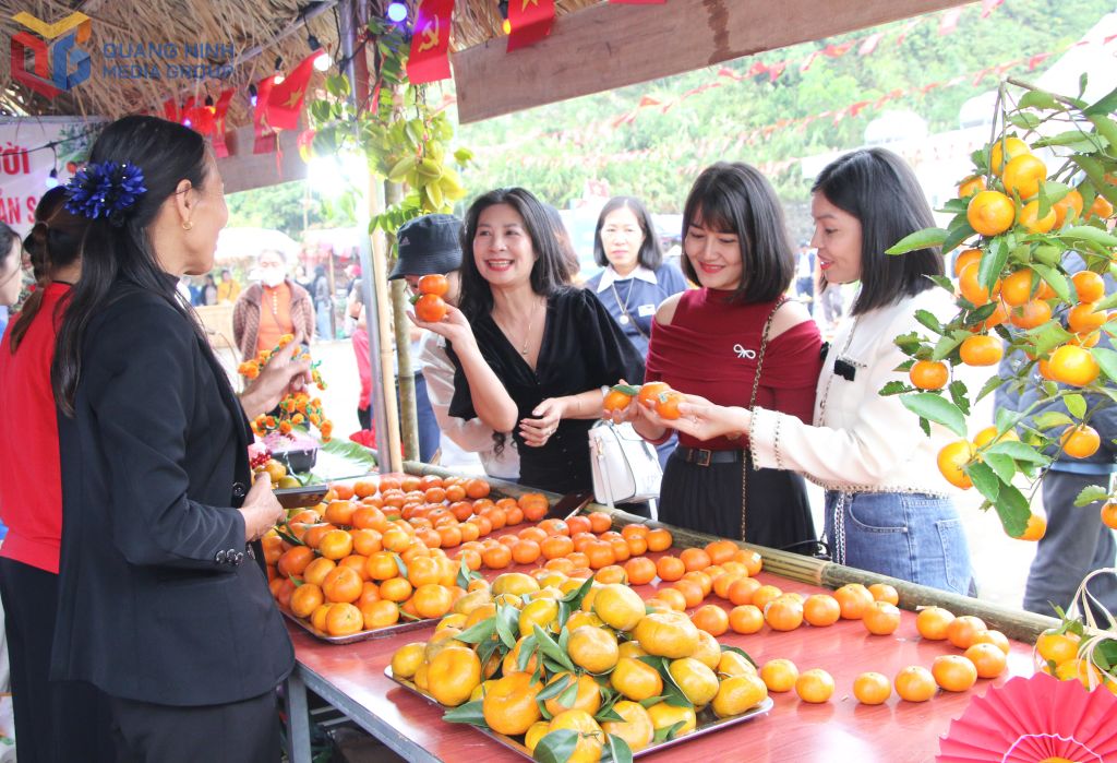 Các gian hàng bán cam Vân Đồn thu hút đông du khách thưởng thức và mua về làm quà.